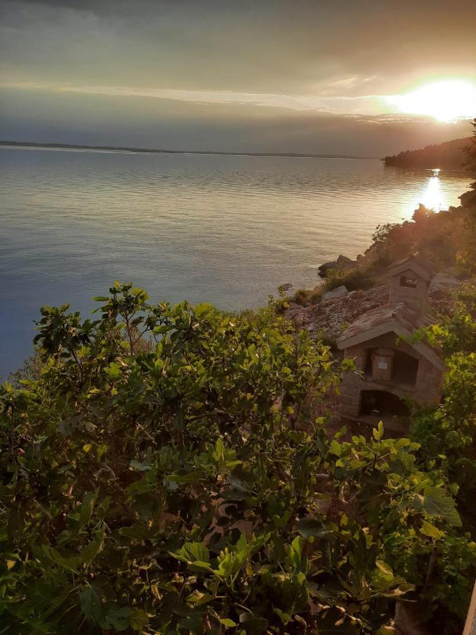 Apartmani Antea Starigrad Paklenica Dış mekan fotoğraf